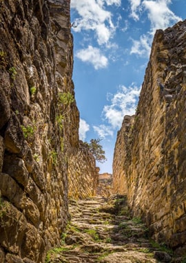 fondo Guiado Turistico